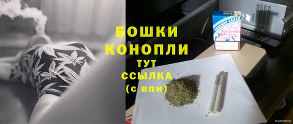 стафф Богданович