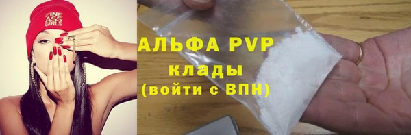 крисы Богородск