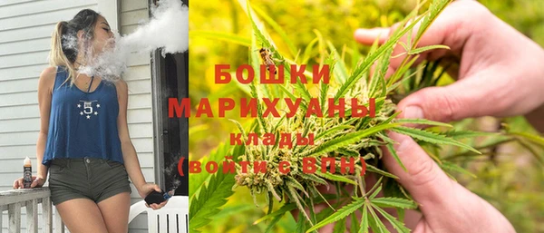 крисы Богородск