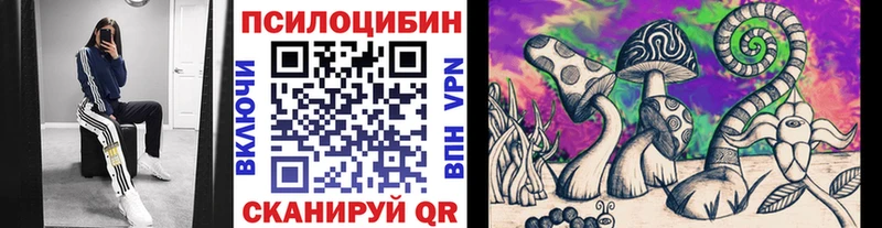 Галлюциногенные грибы GOLDEN TEACHER  Купить где  Красный Сулин 